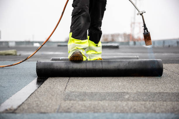 Steel Roofing in Petersburg, IL