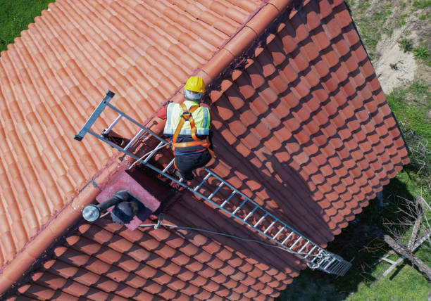 Best Rubber Roofing (EPDM, TPO)  in Petersburg, IL