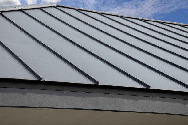 Best Roof Maintenance and Cleaning  in Petersburg, IL
